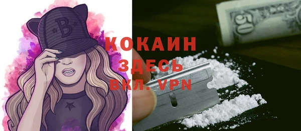 2c-b Алзамай
