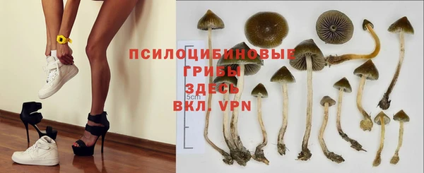 кокаин колумбия Алексин