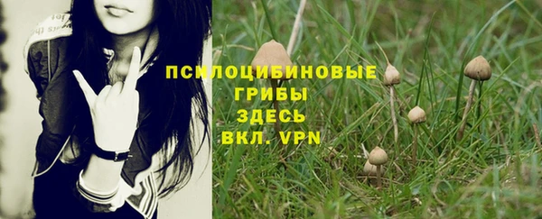 кристаллы Новокубанск